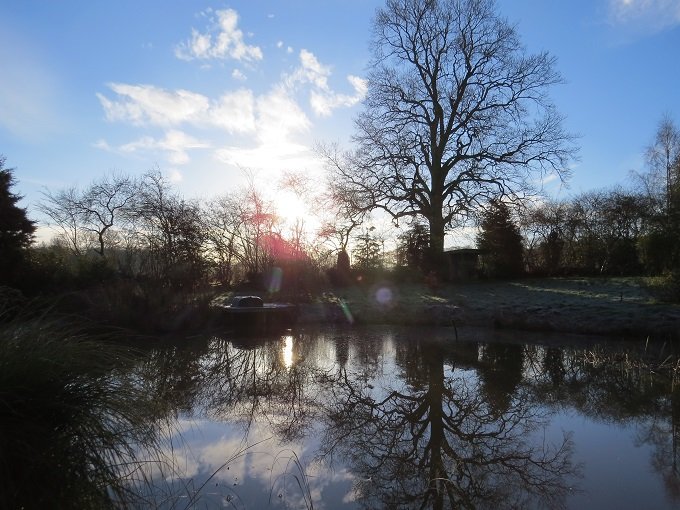 Gallery - Moors Meadow Open Gardens and Nursery - Bromyard - Herefordshire